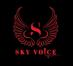 Караоке-Диско-Бар «Sky Voice» на пр. Строителей